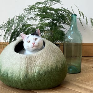 May include: A round, felted wool pet cave featuring an ombre color gradient that transitions from a light cream top to a deep forest green base. A white cat with black markings on its head is resting inside the circular opening of the structure.