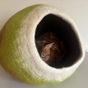 May include: A rounded, felted wool pet cave featuring a gradient of olive green and brown on the exterior with a thick, cream-colored rim around the circular opening. A brown tabby cat with green eyes is resting inside the dark interior space.