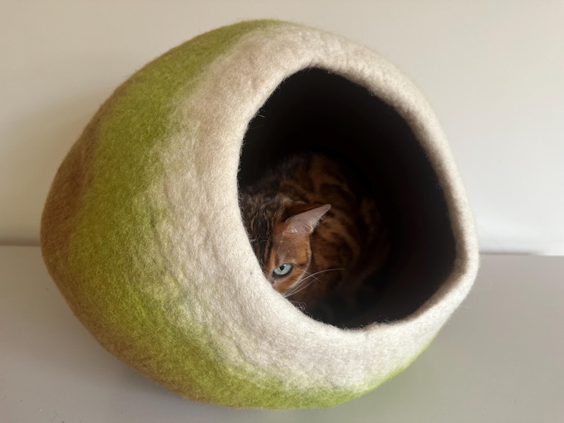 May include: A rounded, felted wool pet cave featuring a gradient of olive green and brown on the exterior with a thick, cream-colored rim around the circular opening. A brown tabby cat with green eyes is resting inside the dark interior space.