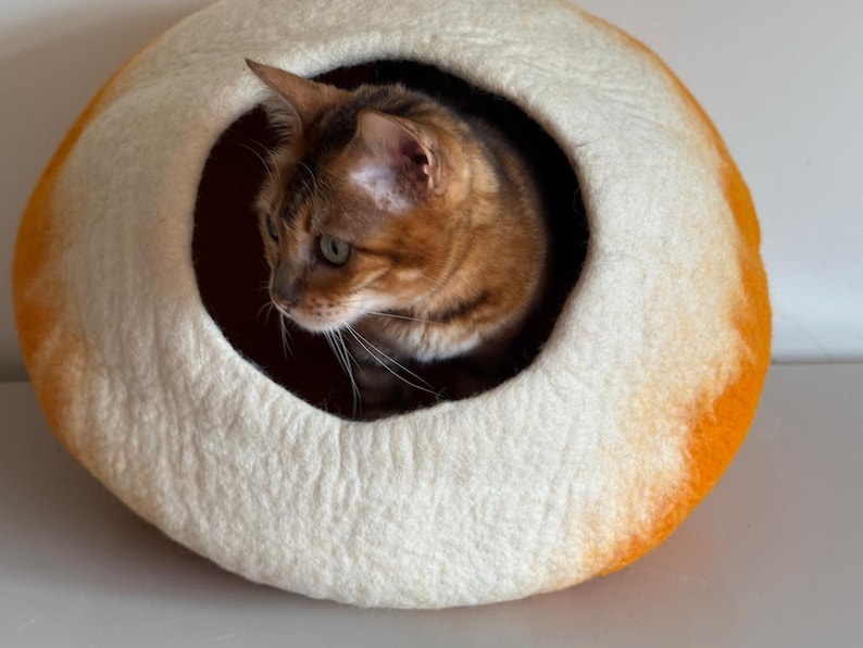 May include: A round, felted pet cave shaped like a loaf of bread with a cream-colored center and golden-brown crust edges. A brown and black tabby cat is positioned inside the circular opening of the soft, textured wool structure.