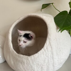 May include: A white, rounded, felted wool cat cave with a large circular opening. Inside the structure sits a white cat with a distinct black patch on the top of its head. The texture of the felted material is visible, showing a soft, dense surface.