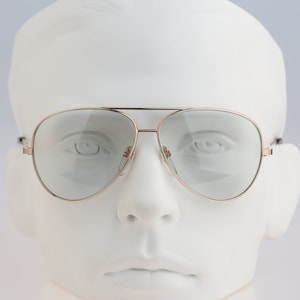 Serengeti Simba Species 5084M, Vintage 90s tinted photochromic changeable lenses oversized aviator sunglasses men & women NOS