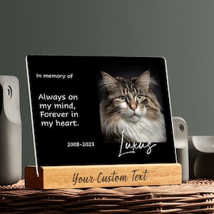 Personalized Acrylic Pet Photo Plaque, Cat Dog Loss Passing Away Condolence Memorial Sympathy Bereavement Gift, Father Birthday Keepsake