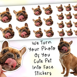 Pegatinas personalizadas - Hoja de pegatinas con la cara de tu mascota / 22 pegatinas de alta calidad - Calcomanías con imágenes / Guarda tu mejor pegatina con foto - Regalo personalizado