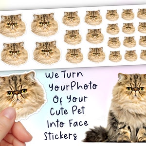 INKJET Ultra Clear PET Sticker Sheets Labels Printable Transparent