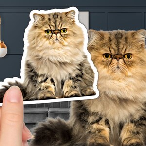 custom cut out sticker photo sticker cartoon good vibes sticker comic meme label bumper decal car funny personalized sticker customized wedding fun kids decoration christmas birthday grade high school turn your cat pet stickers portrait waterproof