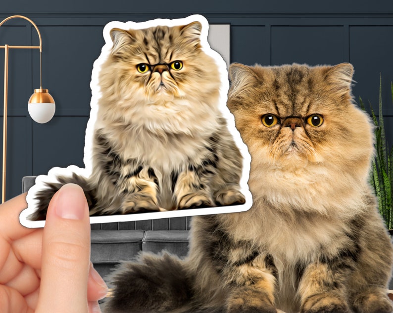 custom cut out sticker photo sticker cartoon good vibes sticker comic meme label bumper decal car funny personalized sticker customized wedding fun kids decoration christmas birthday grade high school turn your cat pet stickers portrait waterproof