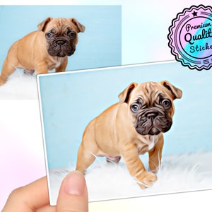 custom cut out sticker photo sticker cartoon good vibes sticker comic meme label bumper decal car funny personalized sticker customized wedding fun kids decoration christmas birthday grade high school turn your cat pet stickers portrait waterproof