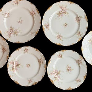 Antique CH. Field Haviland Limoges, France porcelain plates, two dinner plates and four salad plates, scalloped floral style, gold gilt trim