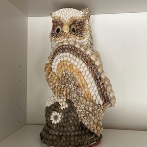 May include: A decorative owl figurine crafted from various seashells. The owl features a detailed design with a mix of white, tan, and brown shells, creating a textured appearance. The owl's eyes are a light color, and it is perched on a base.