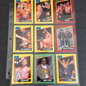 Twelve World Championship Wrestling Cards by Impel from 1991, Including Sting #7