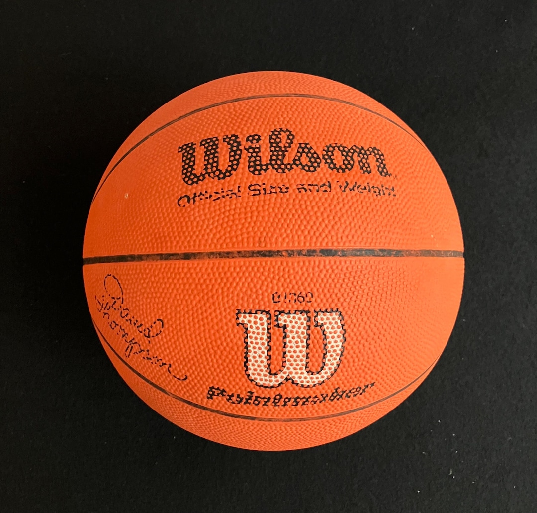 Pointmaker Vintage Wilson Pointmaker David Thompson Basketball, Official Size and ...