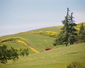 Livermore/East Bay Hills - TWO Photography Prints