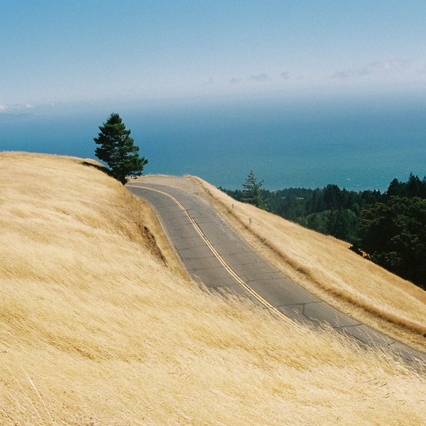 Road to Mt. Tam- Photography Print