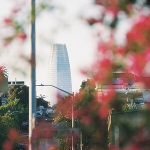 May include: A tall, modern skyscraper with a glass facade dominates the background, viewed through a soft focus of red and pink flowers. The foreground includes trees, street signs, and a street light, suggesting an urban setting.