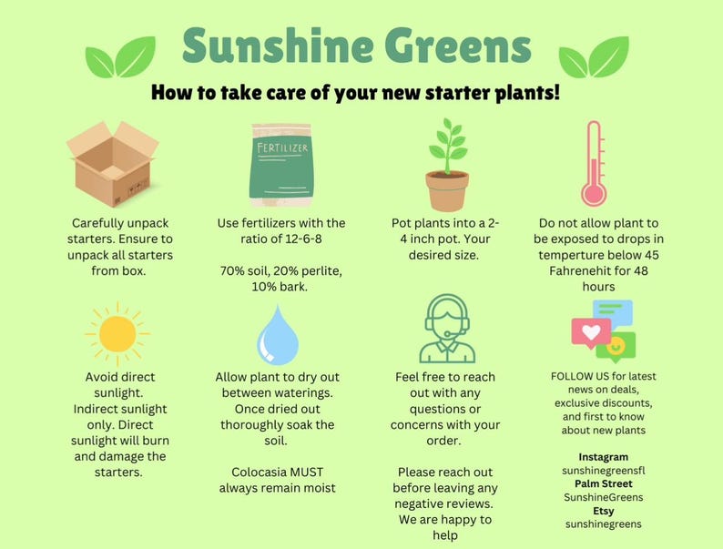 Puede incluir: Una gu&iacute;a ilustrada verde y blanca con consejos sobre c&oacute;mo cuidar las plantas de inicio. La gu&iacute;a incluye ilustraciones de plantas, una regadera, un term&oacute;metro, una caja y un sol. El texto incluye el t&iacute;tulo "Sunshine Greens" y la frase "&iexcl;C&oacute;mo cuidar tus nuevas plantas de inicio!"