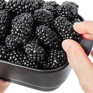 May include: A black bowl filled with fresh blackberries. The bowl is being held by a hand.