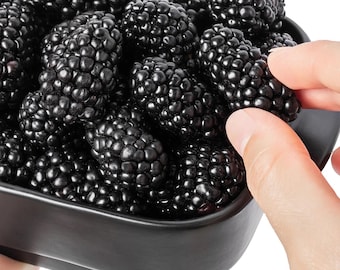 Big Daddy Blackberry 2” pot (ALL STARTER PLANTS require you to purchase 2 plants!)