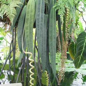 hanging containers for plants 16