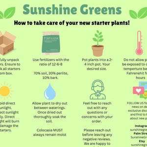May include: Informational graphic from Sunshine Greens on how to care for new starter plants. Includes instructions on unpacking, fertilizing, potting, temperature, sunlight, watering, and contact information. The graphic is on a light green background.