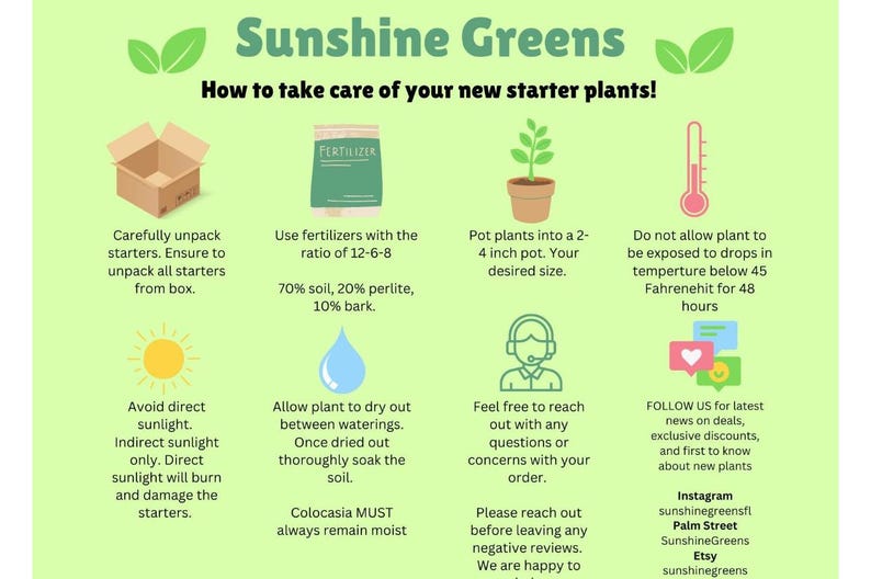 May include: Informational graphic from Sunshine Greens on how to care for new starter plants. Includes instructions on unpacking, fertilizing, potting, temperature, sunlight, watering, and contact information. The graphic is on a light green background.