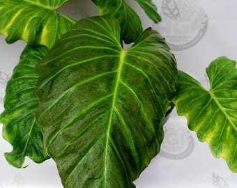 artificial green plant for living room 4.5' Mixed Greens Artificial Plant in White Planter with Legs main image 1