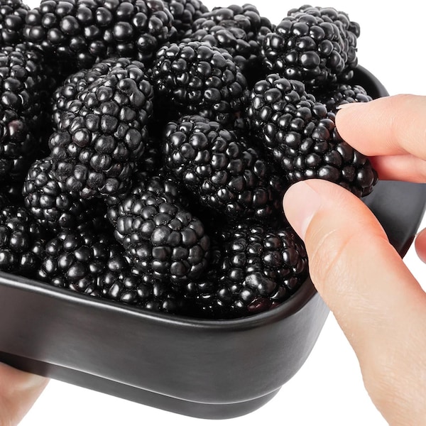 Big daddy blackberry Starter Plant (ALL STARTER PLANTS require you to purchase 2 plants!)