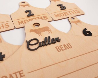 Rustic Baby Millestone Favors, Personalized Monthly Signs