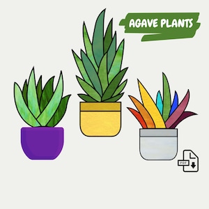 May include: Three potted agave plants with different colored leaves. The plants are in yellow, purple, and gray pots. The text "AGAVE PLANTS" is written in green on a white background.
