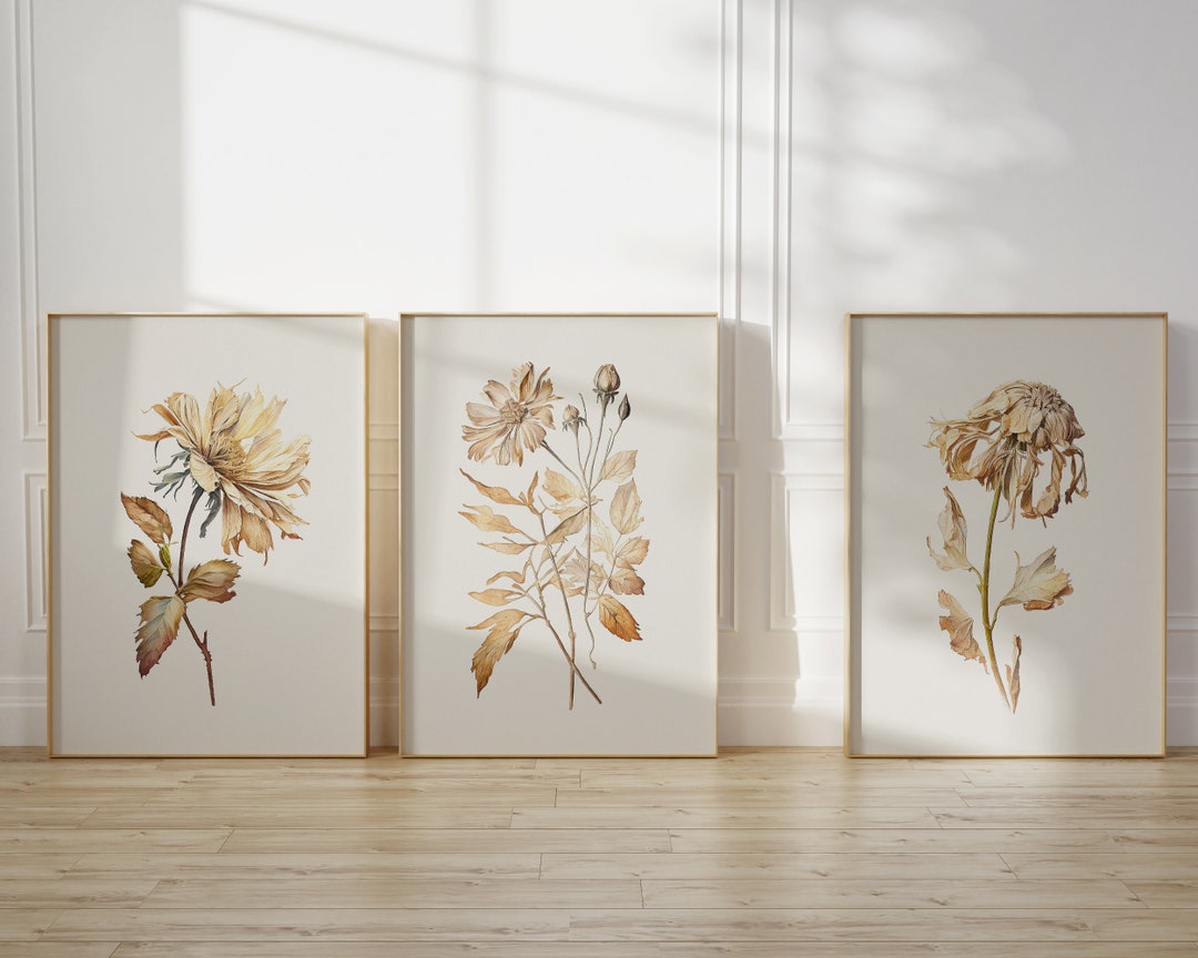 Set of 3 Retro, Boho Style Posters. Dry Flowers. Large Size Watercolor ...