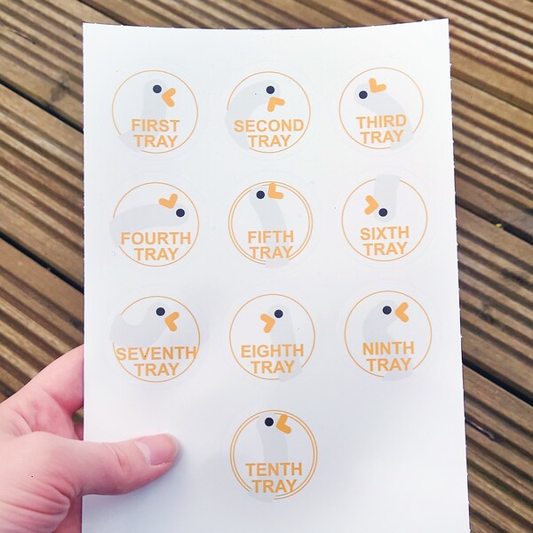 Invisalign Case Stickers Etsy UK