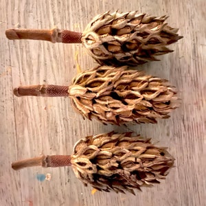 10 Magnolia Pods Seed Pods Pinecone Decor Holiday Craft
