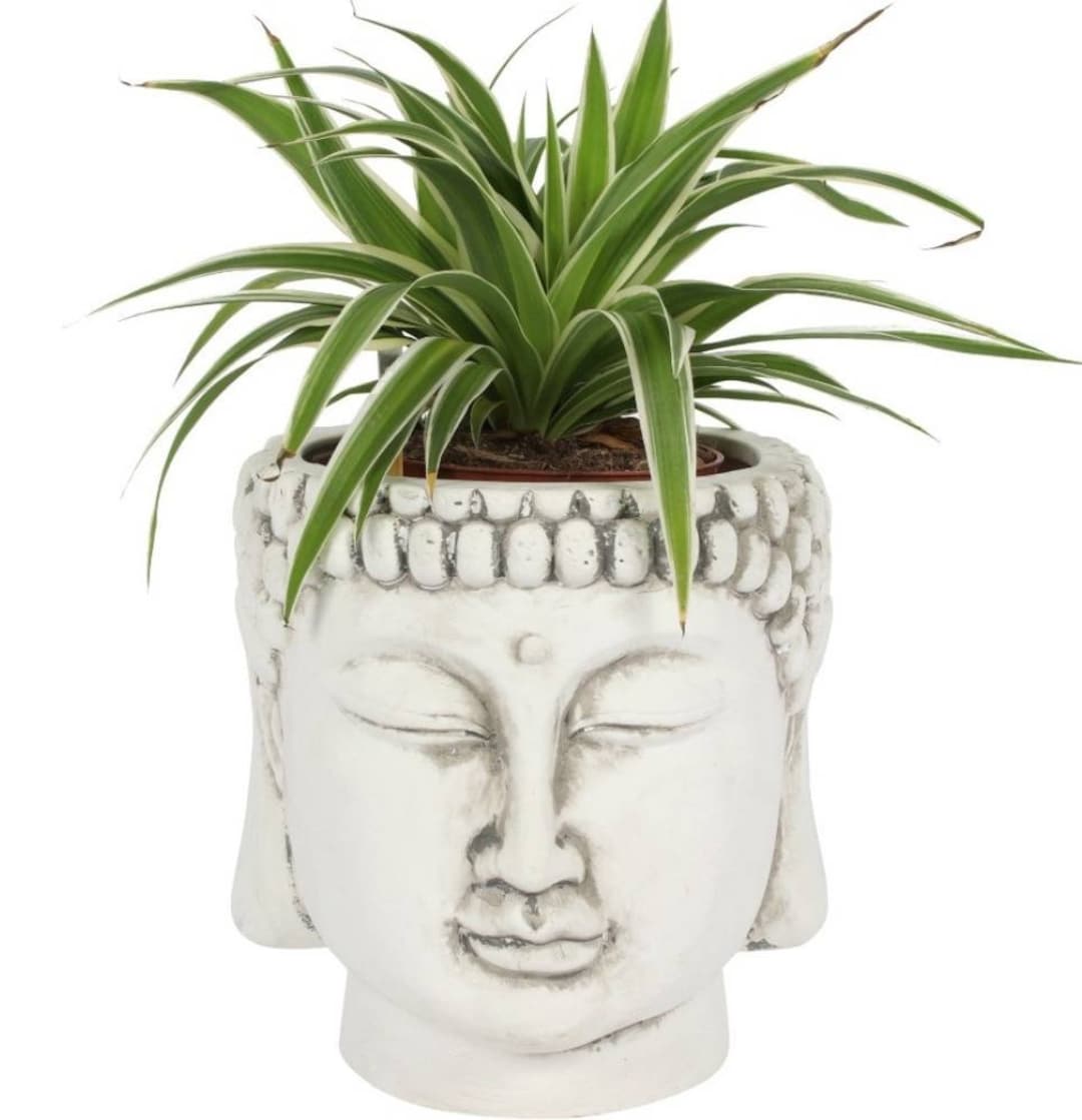 White Buddha Head Planter Buddha Plant Pot Planter Zen Etsy