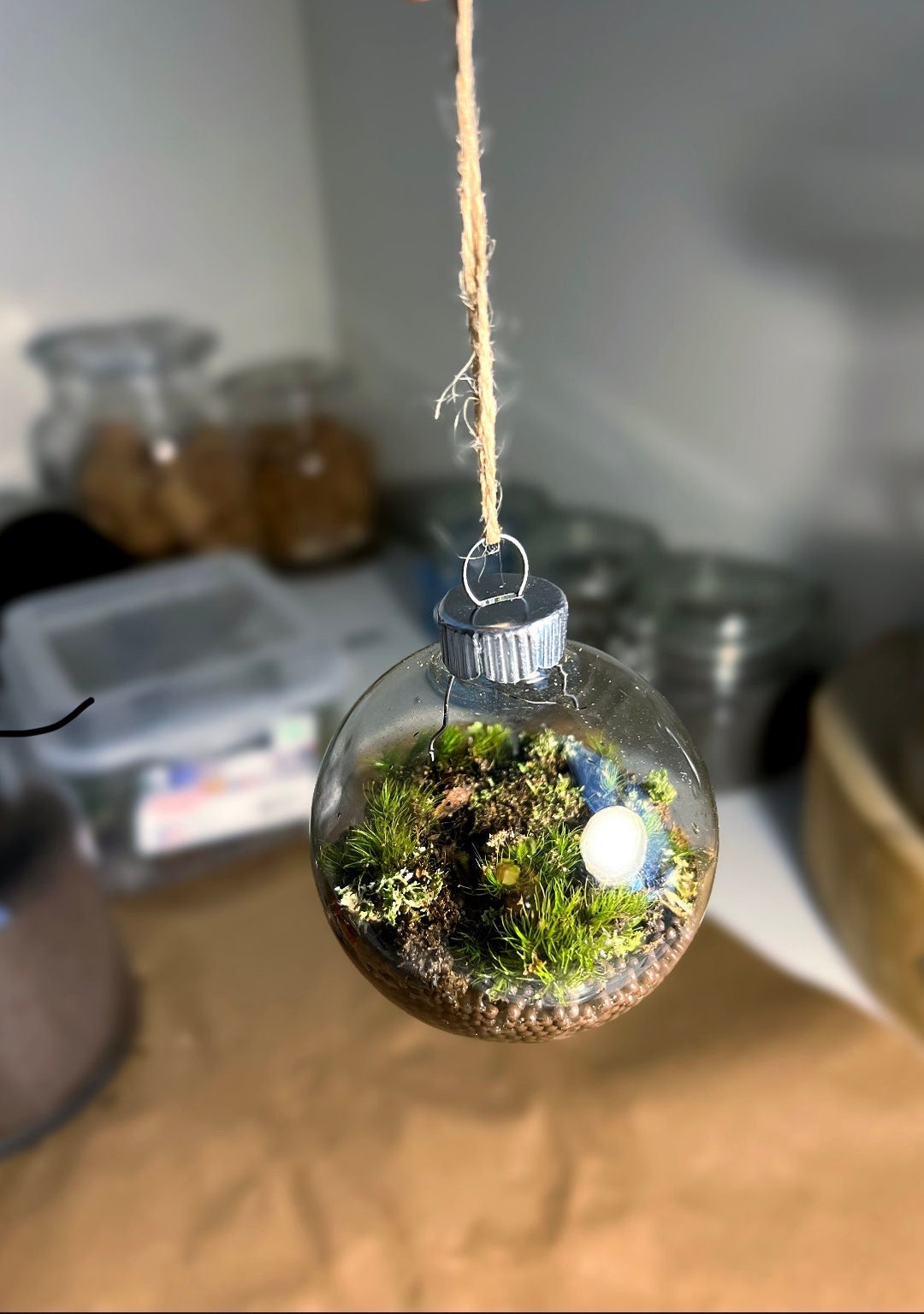Terrarium Christmas Ornament 