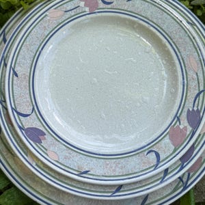Könnte beinhalten: Ein Stapel Keramikteller mit floralem Design. Die Teller haben einen hellgrünen Hintergrund mit einem blauen und grünen Rand. Das florale Design umfasst rosa und lila tulpenartige Blumen.