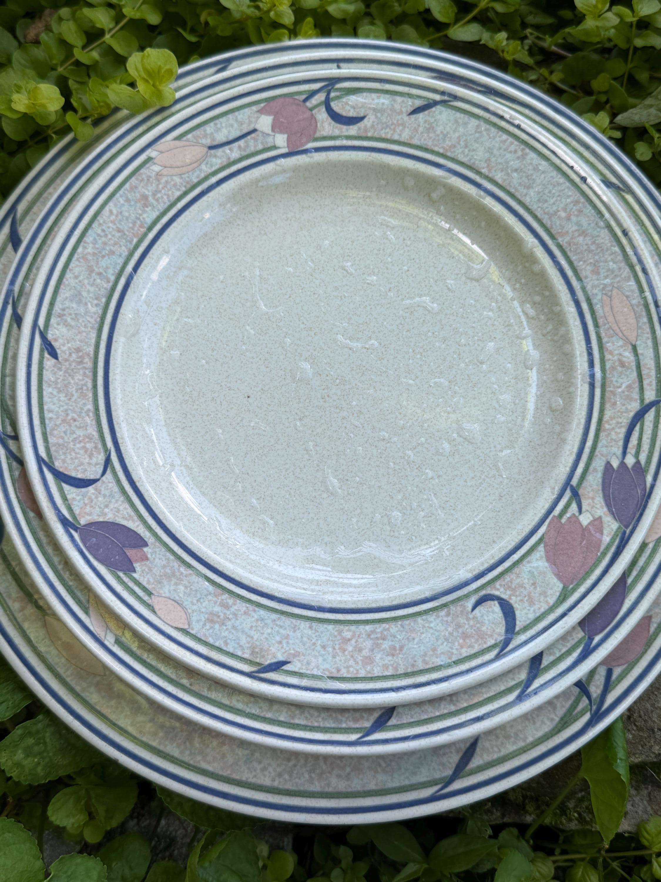 Mikasa Dinnerware Intaglios Tropical Island Pattern Blue Pink Floral Dinner Plates Salad Plates Wide Rim Soup Bowls CAC45 Set of 12