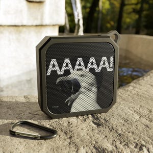 Outdoor Bluetooth Speaker, Portable Sound System, Wireless Music Player, Camping Accessory, Adventure Speaker