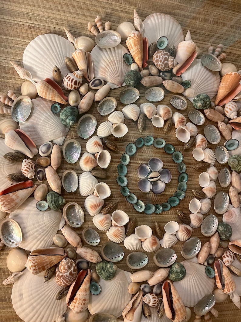 Mandala Large Seashell Shadowbox - Etsy