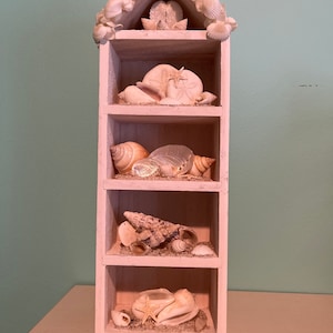 Small Seashell display Nautical themed