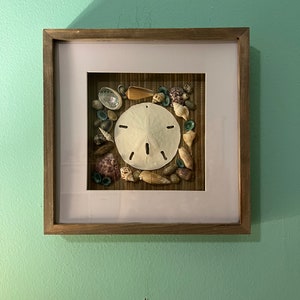 May include: A framed square artwork featuring a sand dollar surrounded by a variety of seashells in a brown wooden frame.
