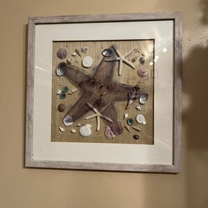Inside/outside Starfish Slim Depth Display Nautical and Costal Decor