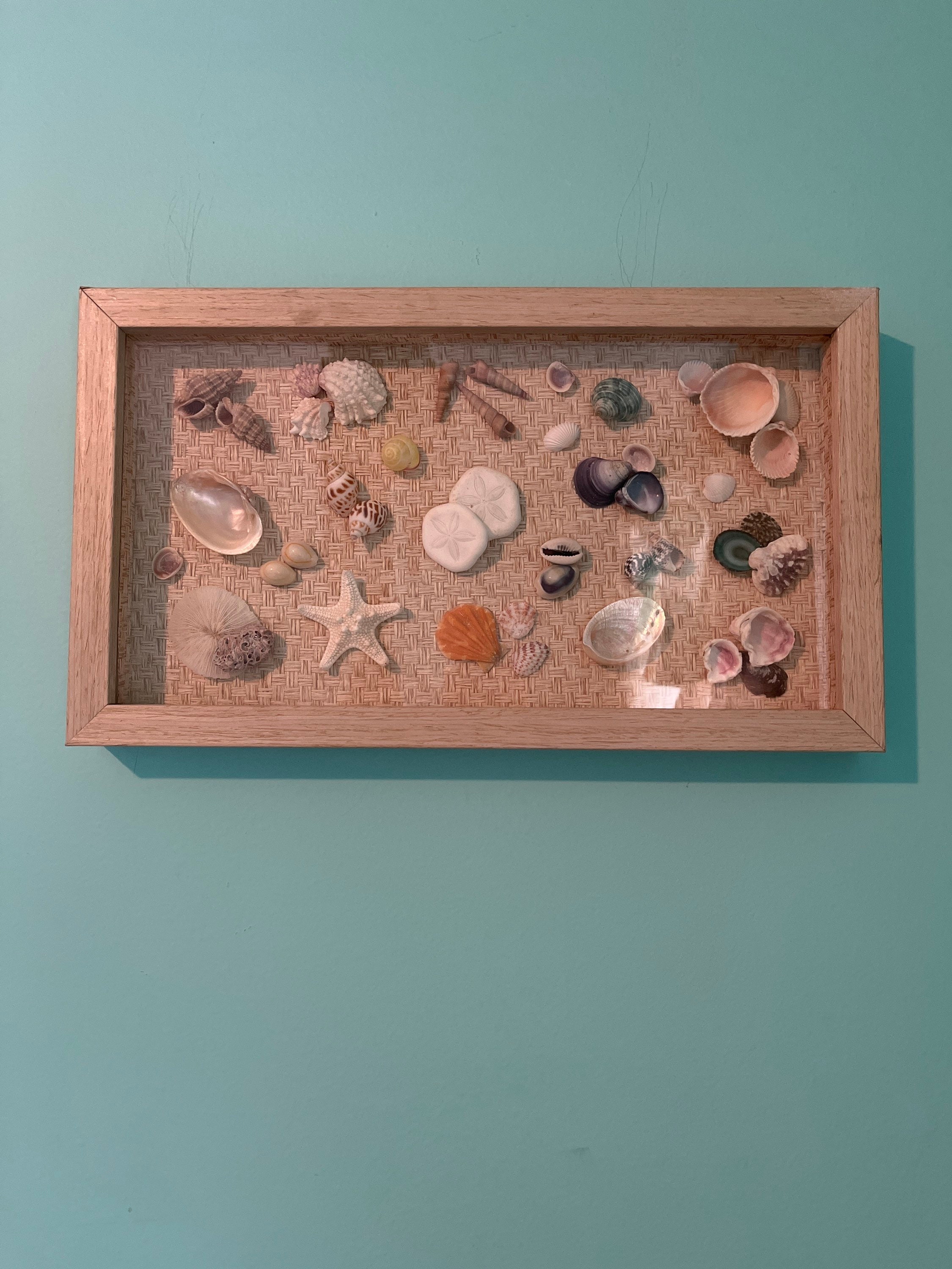 Seashell Shadowbox Display Nautical Themed - Etsy
