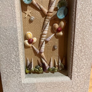 Seashell flower display Shadowbox