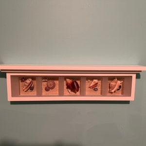 May include: White shelf with five framed compartments, each containing a different seashell. The seashells are arranged in a row and are all different shapes and sizes.
