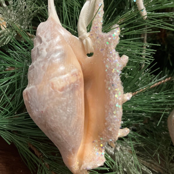 Christmas ornaments: Spider Conch Ornament