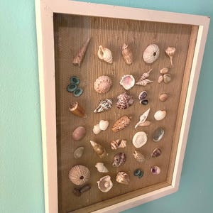 Mini Seashells Distressed Shadowbox Display Nautical or Coastal Decor ...