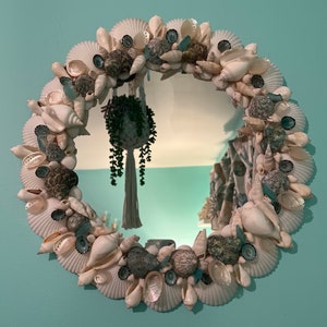 Seashell Mirror #6