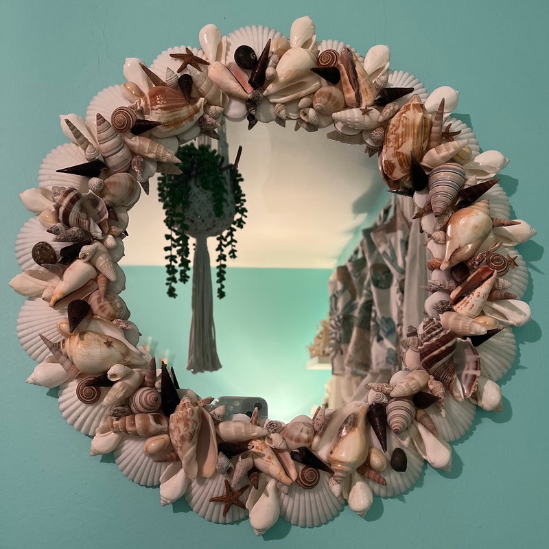 Shell Mirror Kit Seashell Mirror - Etsy
