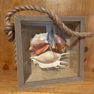 May include: A framed display of seashells with a rope handle. The seashells are a variety of colors and shapes, including pink, white, and brown. The frame is made of wood and has a rustic finish.