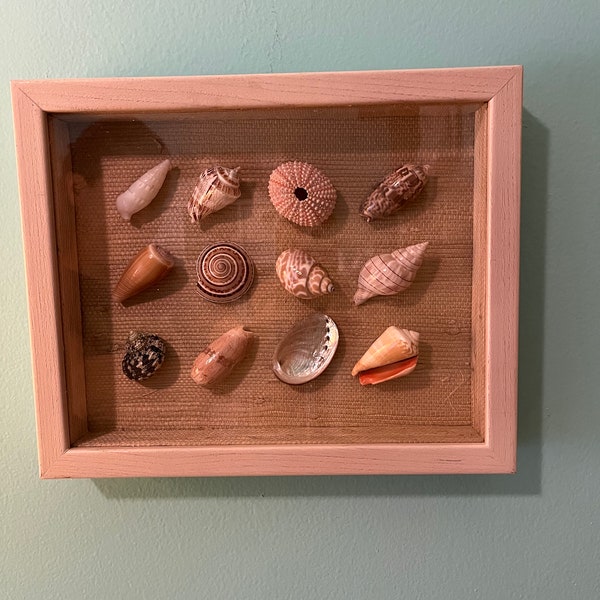 Cheaper by the dozen Seashell Shadowbox Display Nautical themed